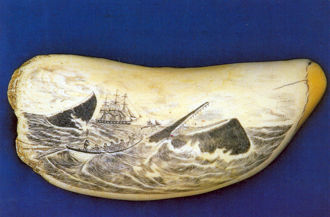 085-scrimshaw-whale-tooth-azores-tif1.jpg